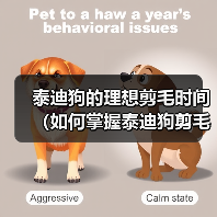 泰迪狗的理想剪毛时间（如何掌握泰迪狗剪毛的最佳时机）（图3）