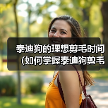 泰迪狗的理想剪毛时间（如何掌握泰迪狗剪毛的最佳时机）（图2）