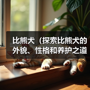 比熊犬（探索比熊犬的外貌、性格和养护之道）（图4）