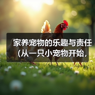 家养宠物的乐趣与责任(从一只小宠物开始,与他共同成长)(图3) 家养宠物的乐趣与责任(从一只小宠物开始,与他共同成长)(图3)