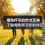 母狗怀孕的症状及其(了解母狗怀孕时的体征和表现)(图1) 母狗怀孕的症状及其(了解母狗怀孕时的体征和表现)(图1)