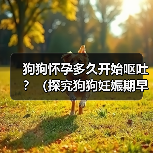 狗狗怀孕多久开始呕吐?(探究狗狗妊娠期早期的常见症状。)(图4) 狗狗怀孕多久开始呕吐?(探究狗狗妊娠期早期的常见症状。)(图4)