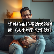 饲养拉布拉多幼犬的指南(从小狗到忠实伙伴,关键在于正确的养育方式)(图2) 饲养拉布拉多幼犬的指南(从小狗到忠实伙伴,关键在于正确的养育方式)(图2)