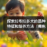 探索拉布拉多犬的品种特征和培养方法(拥抱最可爱的家庭宠物伴侣,让拉布拉多带给你无尽的快乐和陪伴)(图2) 探索拉布拉多犬的品种特征和培养方法(拥抱最可爱的家庭宠物伴侣,让拉布拉多带给你无尽的快乐和陪伴)(图2)