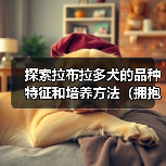 探索拉布拉多犬的品种特征和培养方法(拥抱最可爱的家庭宠物伴侣,让拉布拉多带给你无尽的快乐和陪伴)(图1) 探索拉布拉多犬的品种特征和培养方法(拥抱最可爱的家庭宠物伴侣,让拉布拉多带给你无尽的快乐和陪伴)(图1)