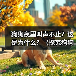 狗狗夜里叫声不止？这是为什么？（探究狗狗夜里叫声不停的原因及如何解决）（图4）