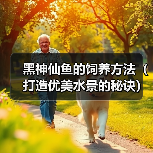 黑神仙鱼的饲养方法(打造优美水景的秘诀)(图1) 黑神仙鱼的饲养方法(打造优美水景的秘诀)(图1)