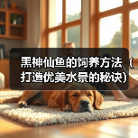 黑神仙鱼的饲养方法(打造优美水景的秘诀)(图4) 黑神仙鱼的饲养方法(打造优美水景的秘诀)(图4)