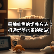 黑神仙鱼的饲养方法(打造优美水景的秘诀)(图3) 黑神仙鱼的饲养方法(打造优美水景的秘诀)(图3)