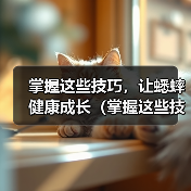 掌握这些技巧,让蟋蟀健康成长(掌握这些技巧,让蟋蟀健康成长)(图3) 掌握这些技巧,让蟋蟀健康成长(掌握这些技巧,让蟋蟀健康成长)(图3)