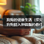 狗狗的健康生活(探究狗狗摄入卵磷脂的最佳时机,让你的宠物更健康!)(图2) 狗狗的健康生活(探究狗狗摄入卵磷脂的最佳时机,让你的宠物更健康!)(图2)