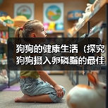 狗狗的健康生活(探究狗狗摄入卵磷脂的最佳时机,让你的宠物更健康!)(图1) 狗狗的健康生活(探究狗狗摄入卵磷脂的最佳时机,让你的宠物更健康!)(图1)