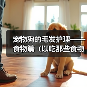 宠物狗的毛发护理——食物篇(以吃那些食物对狗狗的毛发好?)(图4) 宠物狗的毛发护理——食物篇(以吃那些食物对狗狗的毛发好?)(图4)