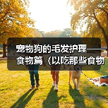 宠物狗的毛发护理——食物篇(以吃那些食物对狗狗的毛发好?)(图2) 宠物狗的毛发护理——食物篇(以吃那些食物对狗狗的毛发好?)(图2)