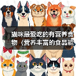 猫咪最爱吃的有营养食物(营养丰富的食品能让你的猫咪更健康快乐)(图2) 猫咪最爱吃的有营养食物(营养丰富的食品能让你的猫咪更健康快乐)(图2)