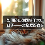 如何防止德国牧羊犬咬鞋子——宠物爱好者必看的防护指南(建立正确的行为模式,让你的爱犬不再咬鞋子)(图3) 如何防止德国牧羊犬咬鞋子——宠物爱好者必看的防护指南(建立正确的行为模式,让你的爱犬不再咬鞋子)(图3)