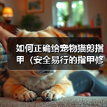 如何正确给宠物猫剪指甲(安全易行的指甲修剪技巧与注意事项)(图3) 如何正确给宠物猫剪指甲(安全易行的指甲修剪技巧与注意事项)(图3)