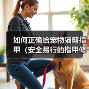如何正确给宠物猫剪指甲(安全易行的指甲修剪技巧与注意事项)(图4) 如何正确给宠物猫剪指甲(安全易行的指甲修剪技巧与注意事项)(图4)