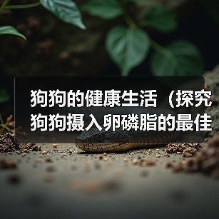 狗狗的健康生活(探究狗狗摄入卵磷脂的最佳时机,让你的宠物更健康!)(图3) 狗狗的健康生活(探究狗狗摄入卵磷脂的最佳时机,让你的宠物更健康!)(图3)