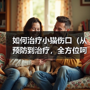 如何治疗小猫伤口(从预防到治疗,全方位呵护小猫的伤口)(图4) 如何治疗小猫伤口(从预防到治疗,全方位呵护小猫的伤口)(图4)