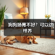 狗狗肠胃不好？可以这样养（图2）