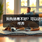 狗狗肠胃不好？可以这样养（图3）