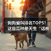 狗狗爱叫排名TOP5！这些品种是天生“话痨”（图2）