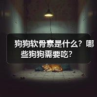 狗狗软骨素是什么？哪些狗狗需要吃？（图4）