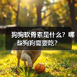 狗狗软骨素是什么？哪些狗狗需要吃？（图3）