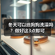 冬天可以给狗狗洗澡吗？做好这3点即可（图1）