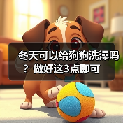 冬天可以给狗狗洗澡吗？做好这3点即可（图2）