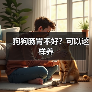 狗狗肠胃不好？可以这样养（图1）