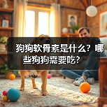 狗狗软骨素是什么？哪些狗狗需要吃？（图1）
