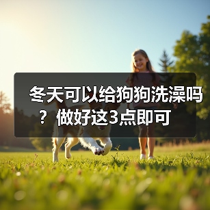 冬天可以给狗狗洗澡吗？做好这3点即可（图4）