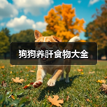 狗狗养肝食物大全（图2）