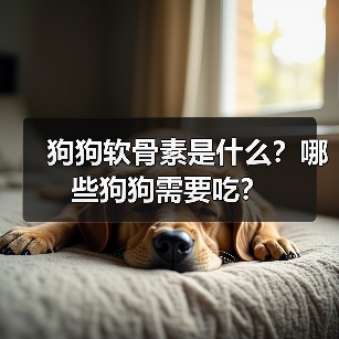 狗狗软骨素是什么？哪些狗狗需要吃？（图2）