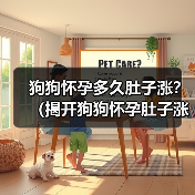 狗狗怀孕多久肚子涨？（揭开狗狗怀孕肚子涨的奥秘）（图3）