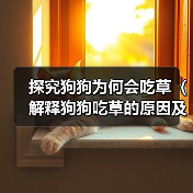 探究狗狗为何会吃草(解释狗狗吃草的原因及如何应对)(图4) 探究狗狗为何会吃草(解释狗狗吃草的原因及如何应对)(图4)