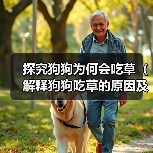 探究狗狗为何会吃草(解释狗狗吃草的原因及如何应对)(图1) 探究狗狗为何会吃草(解释狗狗吃草的原因及如何应对)(图1)