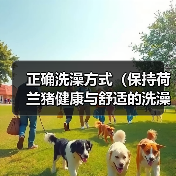 正确洗澡方式（保持荷兰猪健康与舒适的洗澡技巧）（图3）