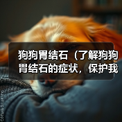 狗狗胃结石（了解狗狗胃结石的症状，保护我们的忠诚伙伴）（图4）
