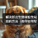 解决新出生猫咪怕生问题的方法(教你如何帮助小猫克服害羞和恐惧)(图3) 解决新出生猫咪怕生问题的方法(教你如何帮助小猫克服害羞和恐惧)(图3)