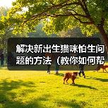 解决新出生猫咪怕生问题的方法(教你如何帮助小猫克服害羞和恐惧)(图2) 解决新出生猫咪怕生问题的方法(教你如何帮助小猫克服害羞和恐惧)(图2)