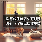 以德牧生娃多久可以洗澡？（了解以德牧生娃后适宜的洗澡时间和方法）（图1）