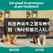 明星养英牛之奢华养牛圈（揭秘明星名人私人养牛场，探寻明星养牛的奢华与乐趣）（图1）