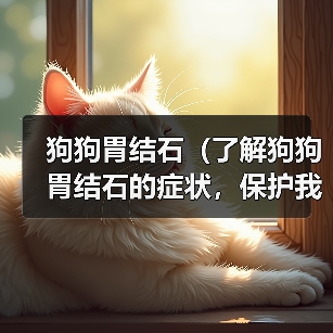 狗狗胃结石（了解狗狗胃结石的症状，保护我们的忠诚伙伴）（图3）