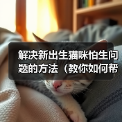解决新出生猫咪怕生问题的方法(教你如何帮助小猫克服害羞和恐惧)(图1) 解决新出生猫咪怕生问题的方法(教你如何帮助小猫克服害羞和恐惧)(图1)