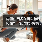 内驱虫后多久可以接种疫苗？（疫苗接种时机的重要性及注意事项）（图2）