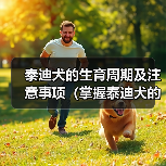 泰迪犬的生育周期及注意事项（掌握泰迪犬的繁殖节奏，让它们健康快乐地生育）（图3）