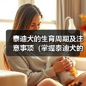 泰迪犬的生育周期及注意事项（掌握泰迪犬的繁殖节奏，让它们健康快乐地生育）（图2）